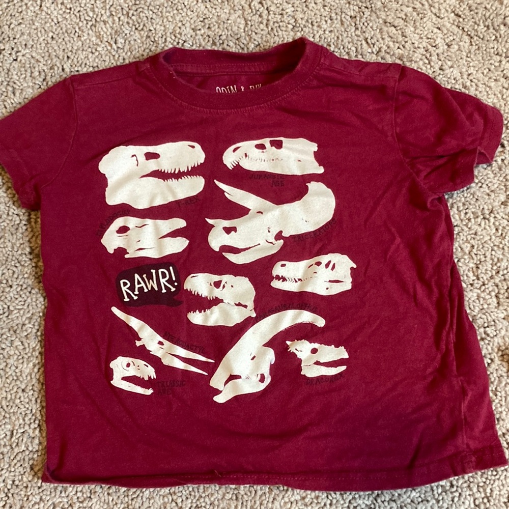Odin and Ivy boys dinosaur tee
